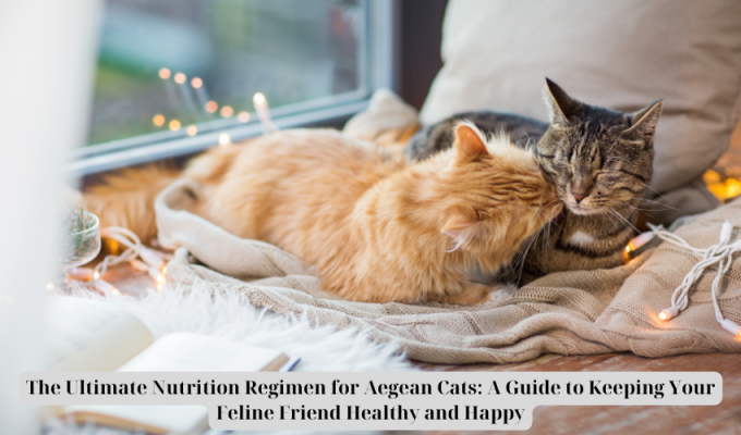 The Ultimate Nutrition Regimen for Aegean Cats: A Guide to Keeping Your Feline Friend Healthy and Happy