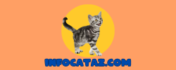 Infocataz.com